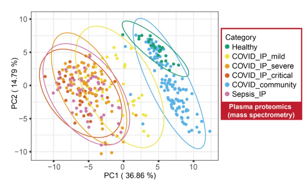 covid-19 shotgun proteomics